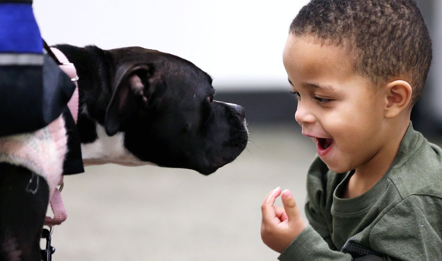 Visit the animals at the Nebraska Humane Society